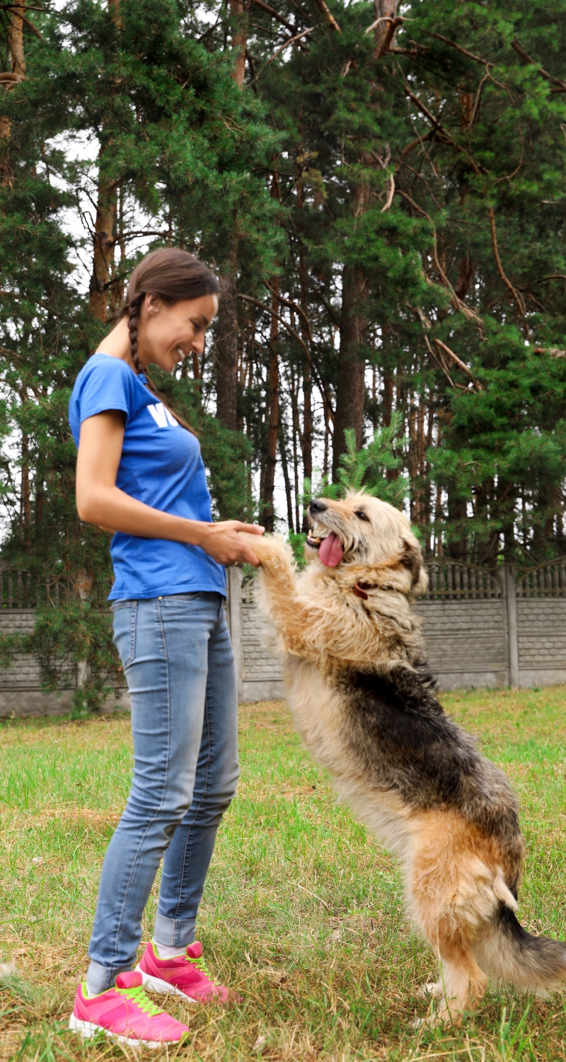 Woman smiling and holding hands with a large, happy dog standing on its hind legs in a grassy, outdoor area surrounded by trees